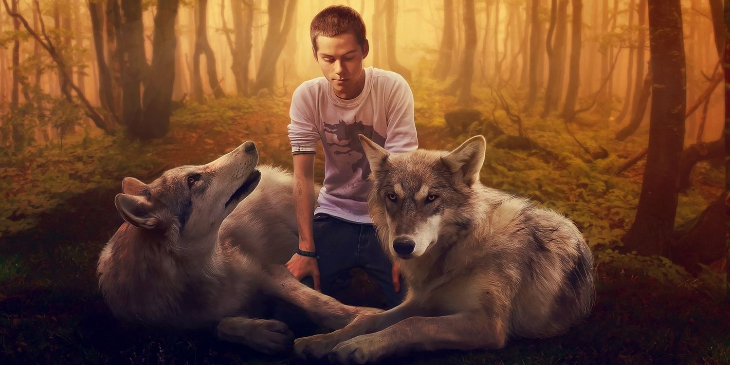 JasperWho26's profile banner image
