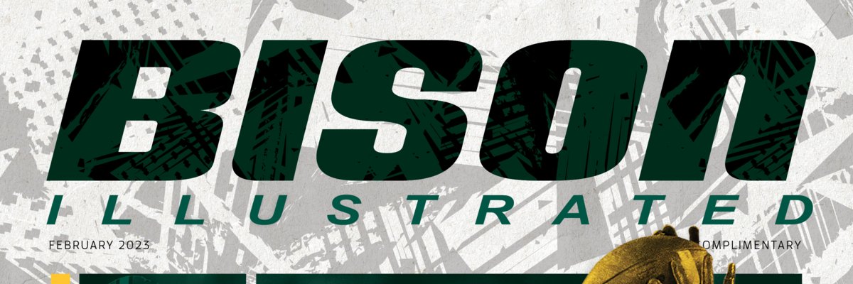 Bison Illustrated banner