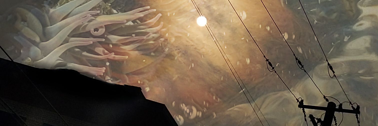 🐟 Lurker 🔞's banner
