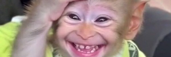 mzeemzima100 Profile Banner