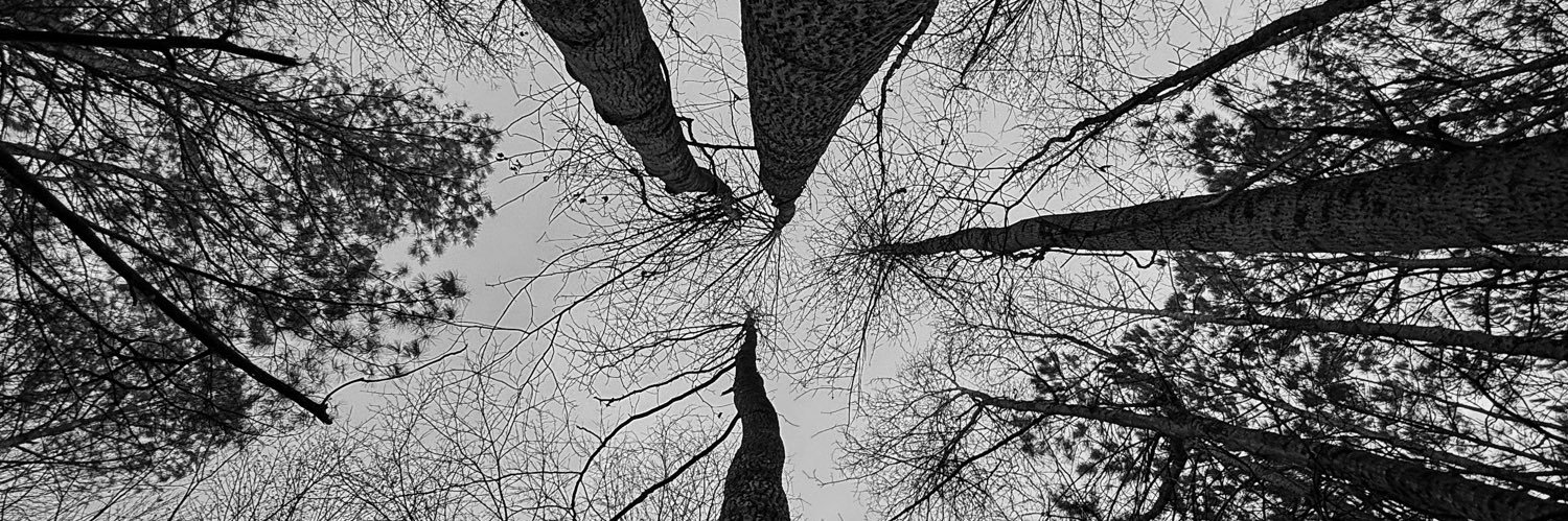 أحمد آل أحمد banner