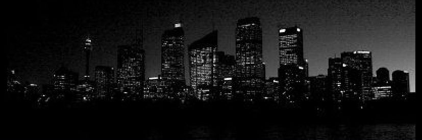 bernugrippo's profile banner image