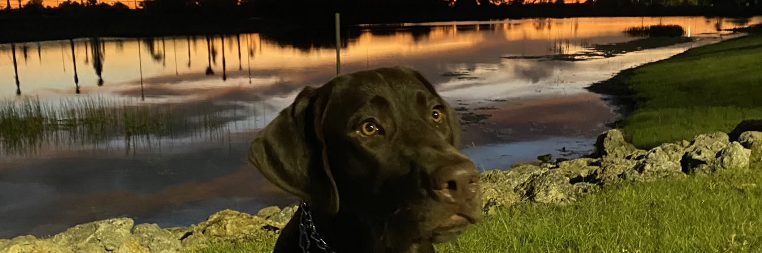 ciaccioajr's profile banner image