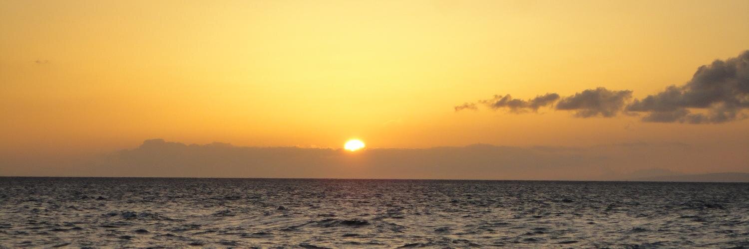 TissyLewis's profile banner image