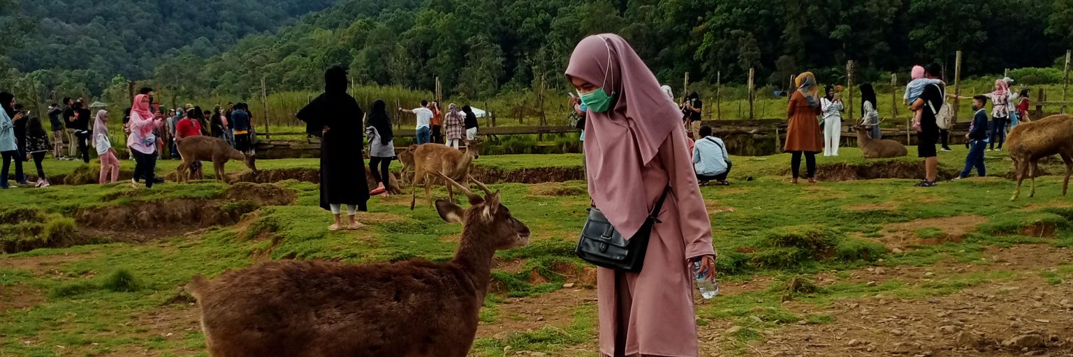nvsrhn_'s profile banner image