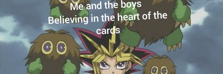 illy mattison banner