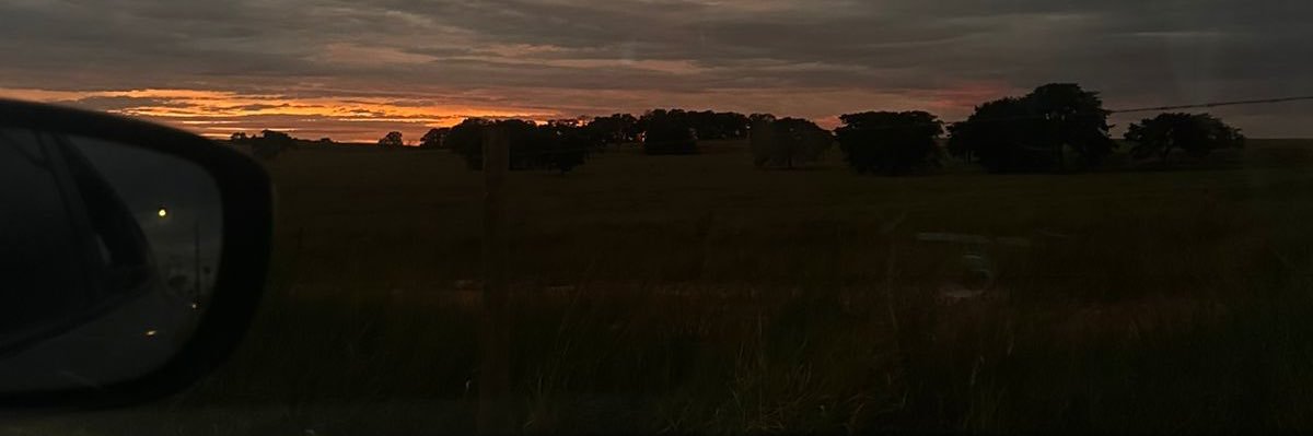 bittern_rafinha's profile banner image