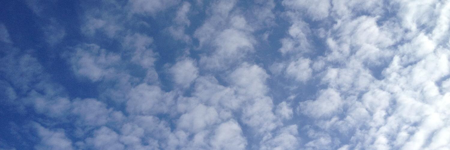 MollyLisa's profile banner image
