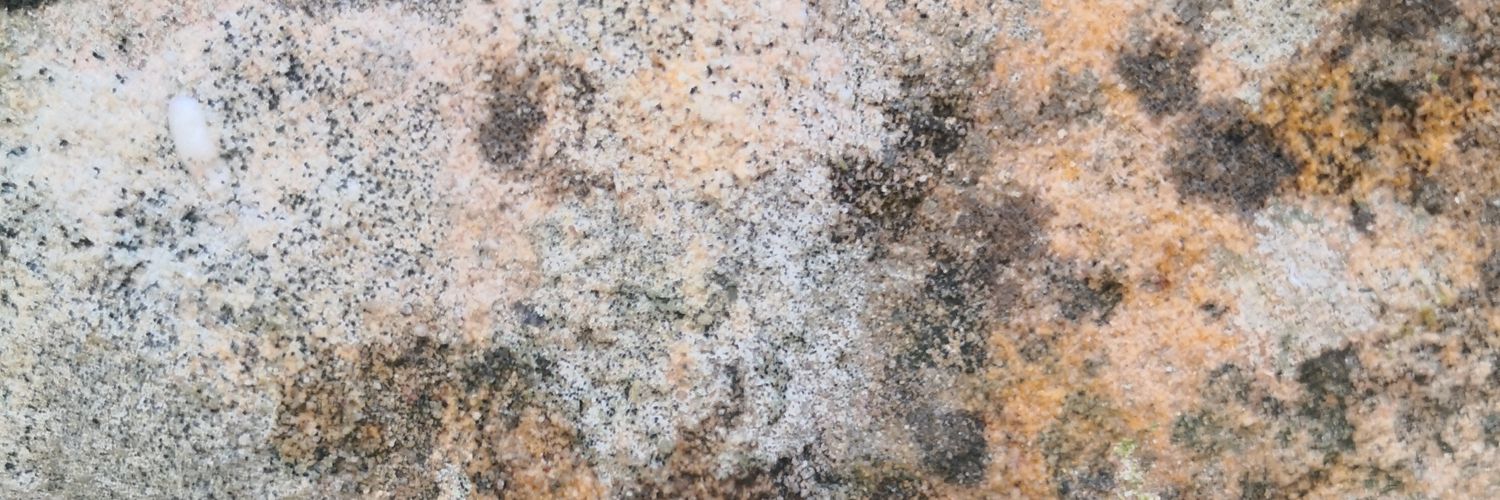 JoeyRauschenber's profile banner image