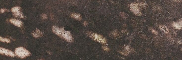 NestorS2014's profile banner image
