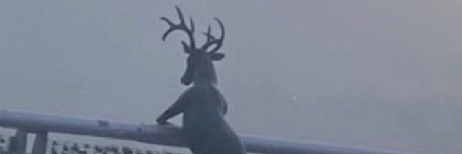 puger's profile banner image