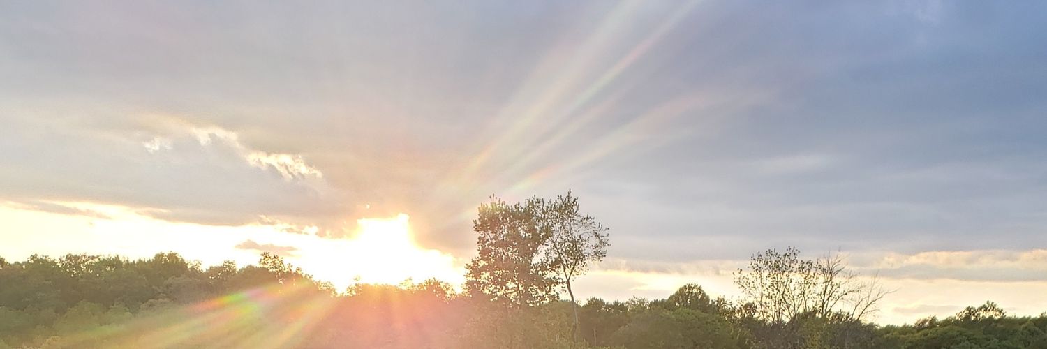 stephfalcone923's profile banner image