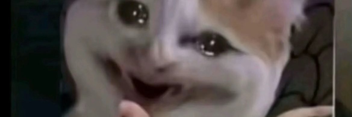 blueraspguy's profile banner image