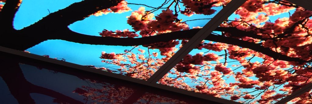 franR47x's profile banner image