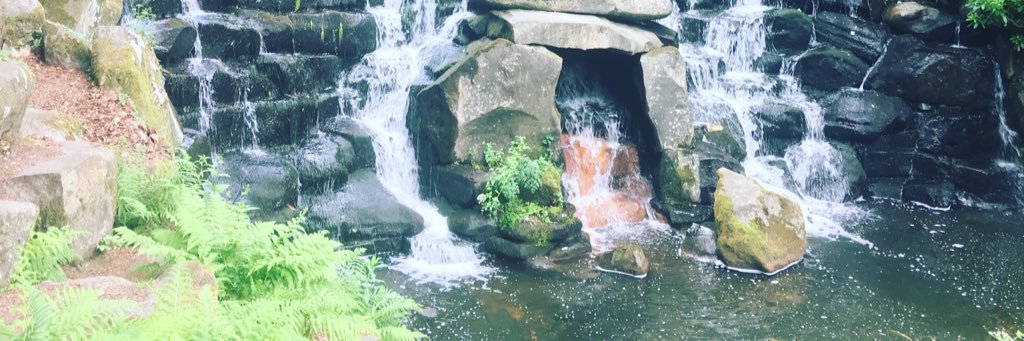 🖤🎵Sophie-Marie🎶 banner