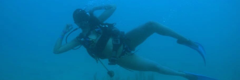 PaulaArivera's profile banner image