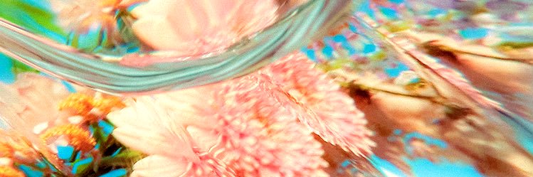 pppii91's profile banner image