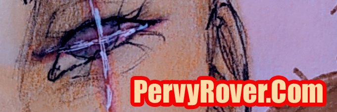PervyRover's profile banner image
