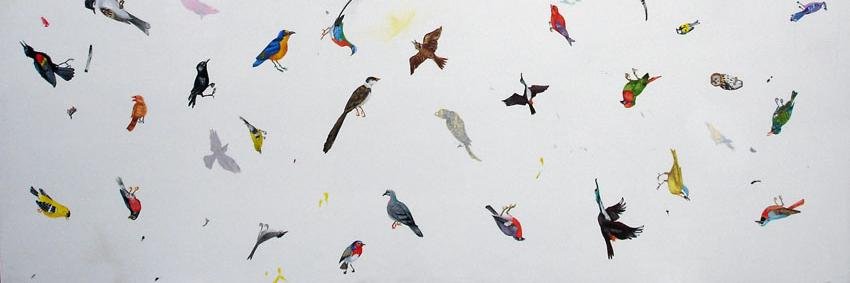 kary_flower's profile banner image