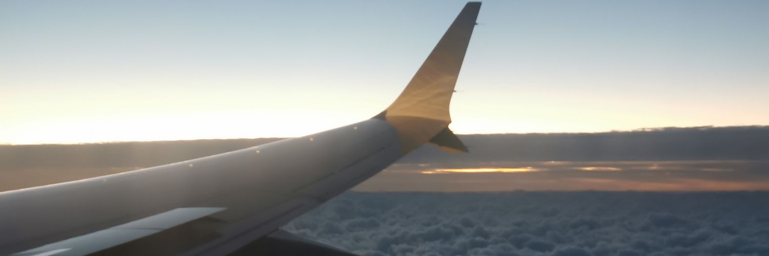 destroyerdollmx's profile banner image