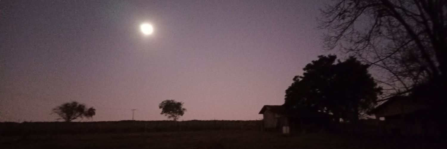 Andre Lourenco banner