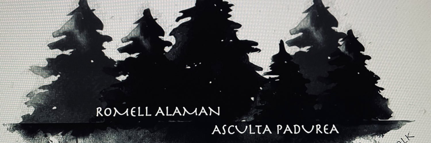 R_o_A's profile banner image