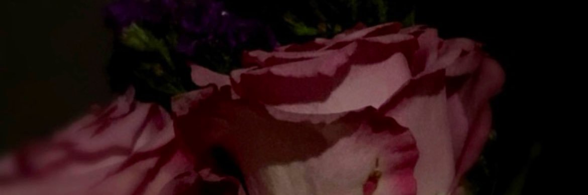 xiilel's profile banner image