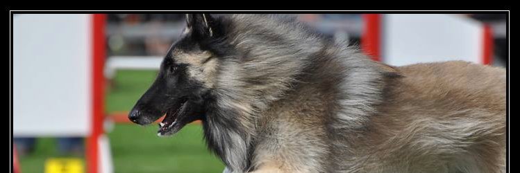 Passiontervu's profile banner image