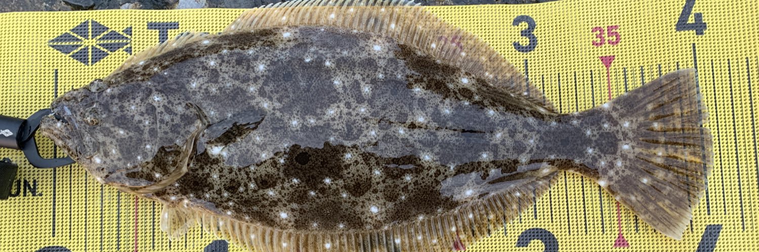 すぎおぢ@ごはん部 banner