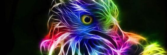 kacyquehotmail's profile banner image