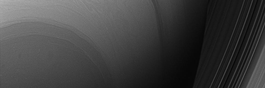 shuann's banner