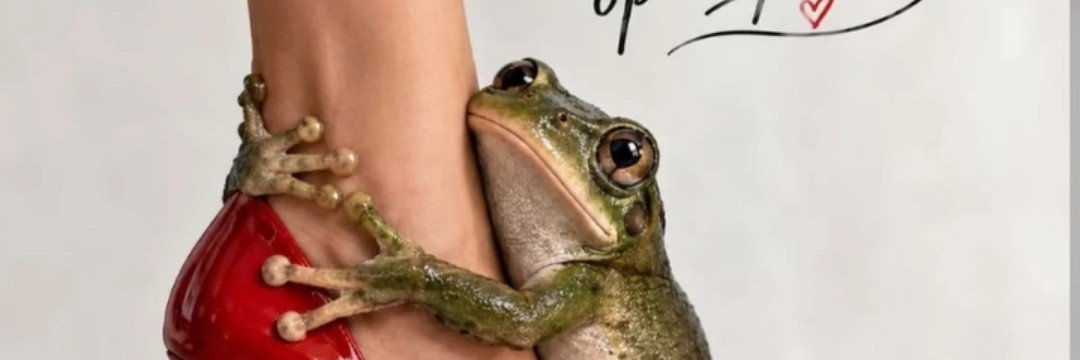 hercaipia's profile banner image