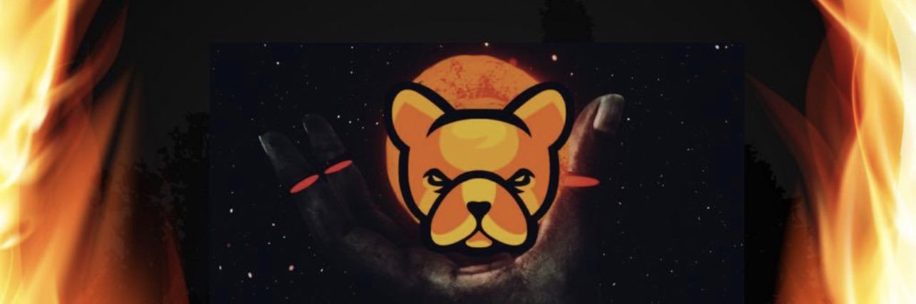 wildAbdi's profile banner image