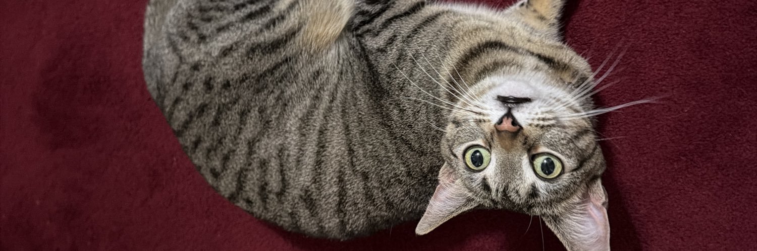 MAKL •JAK$N banner