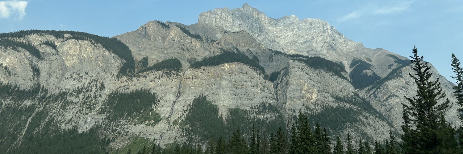 boboreint's profile banner image