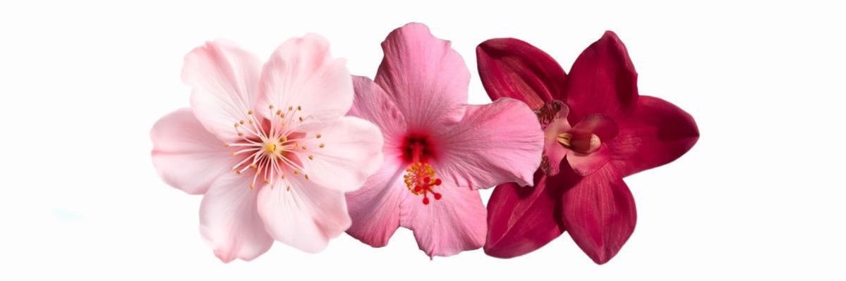 Emi 🧘🏻‍♀️✨ banner