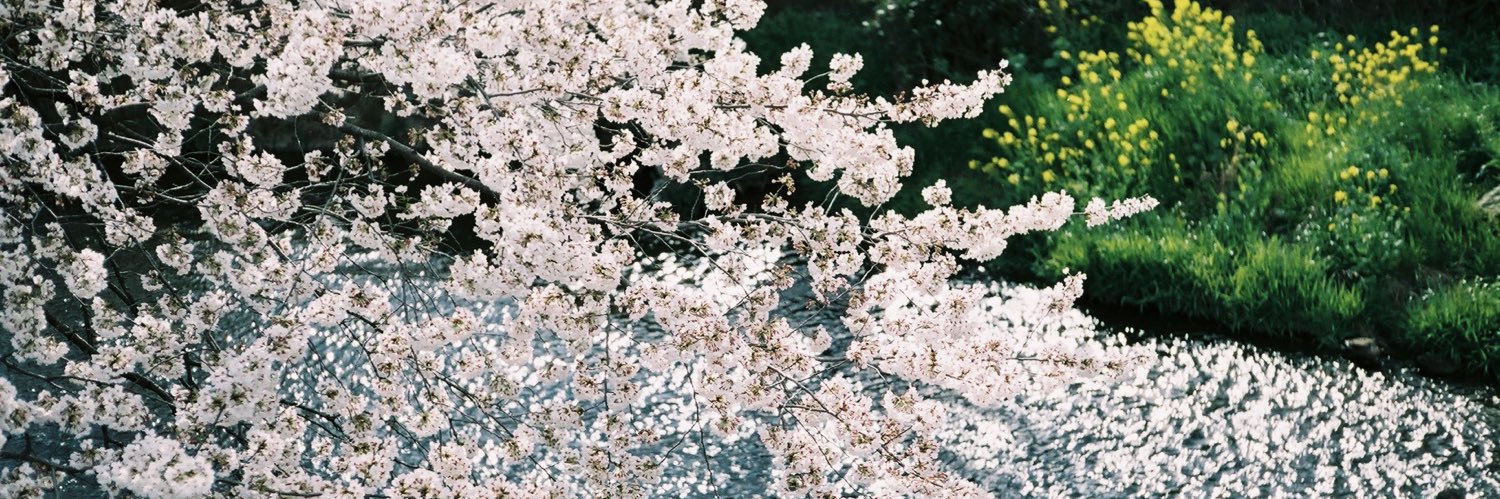 shindy_115's profile banner image