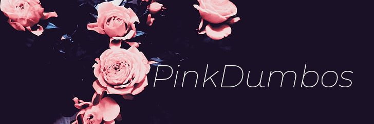 Jess 🆘🇺🇸💙 banner