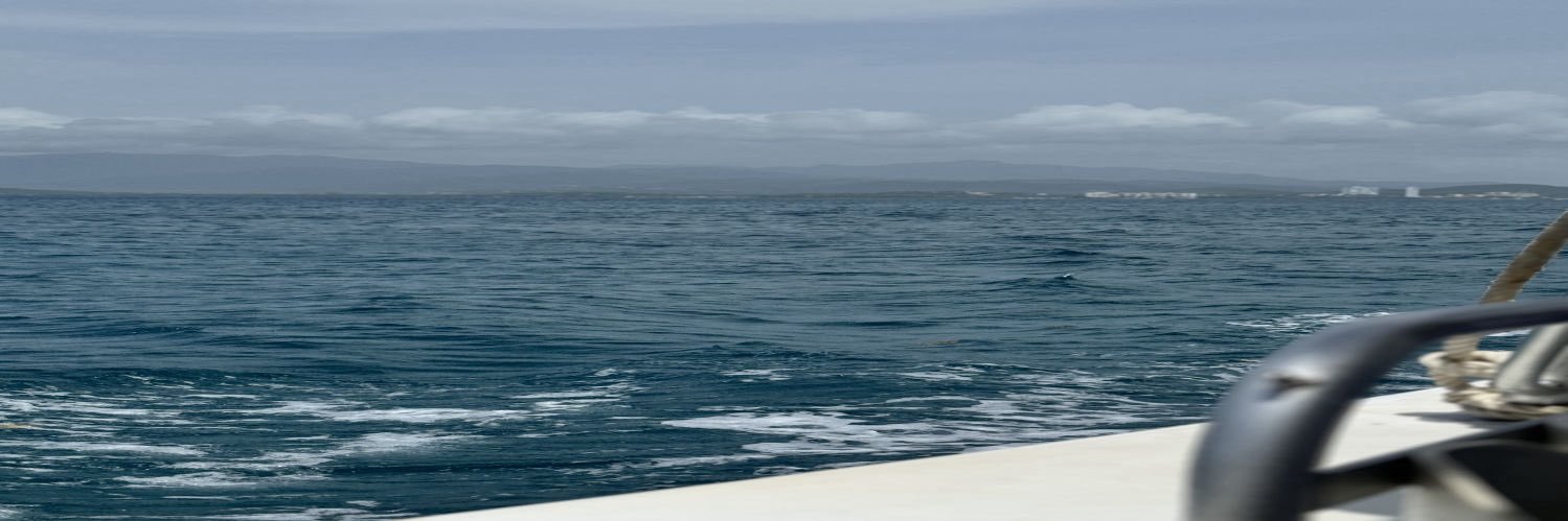 mpthaghost's profile banner image