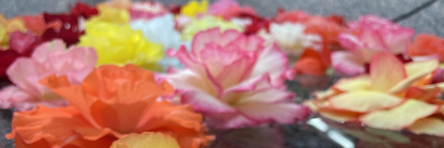 うろ🪷🦊 banner