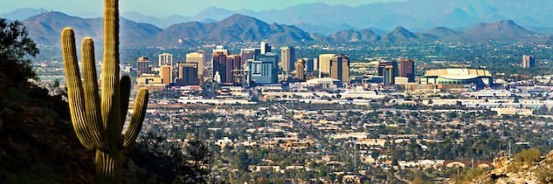 ArizonaPoliticalJunkie banner