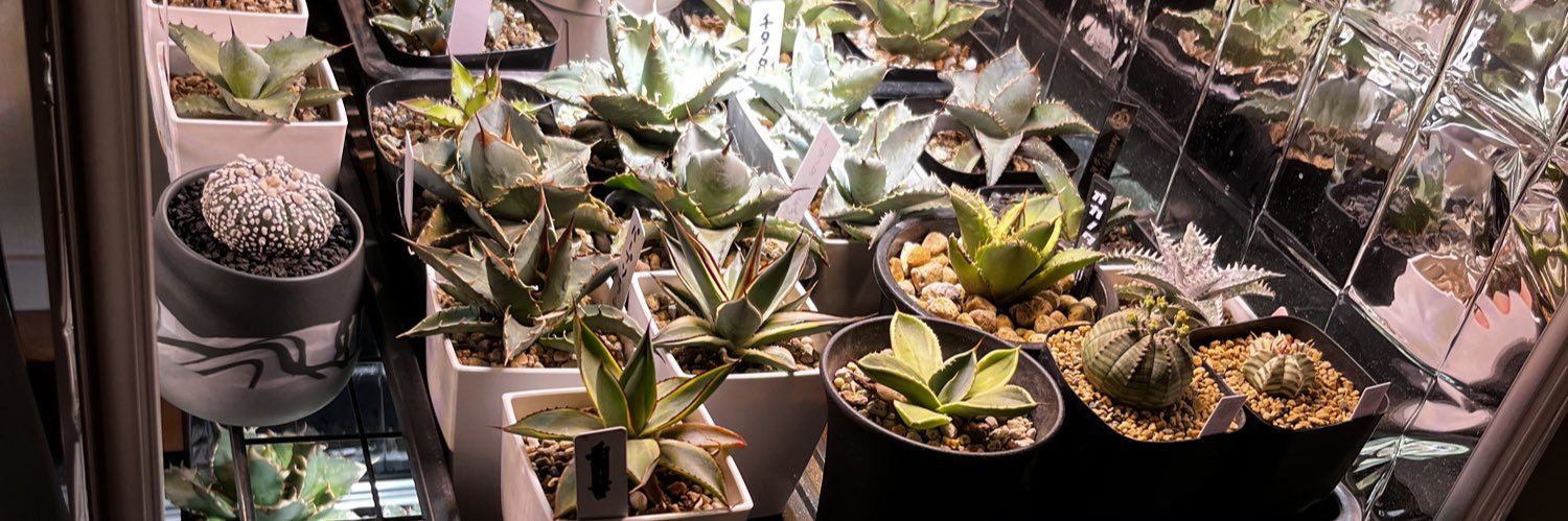 純血にして熱血のアガベラバー　ハイドロ・ベアルートメリクロン・オンザゼオライト banner