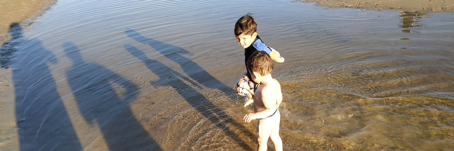 Gabriel Núñez banner