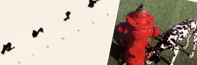 Ray Wawrzyniak banner