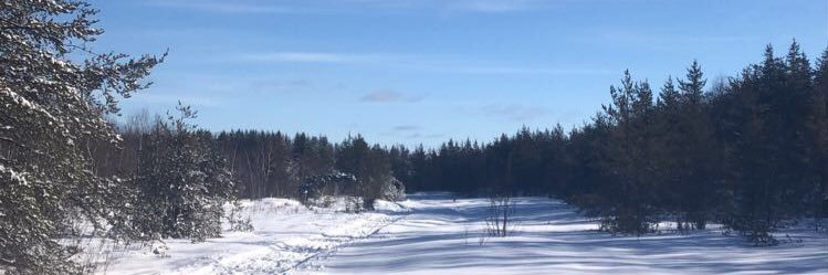 stevegregorchuk's profile banner image