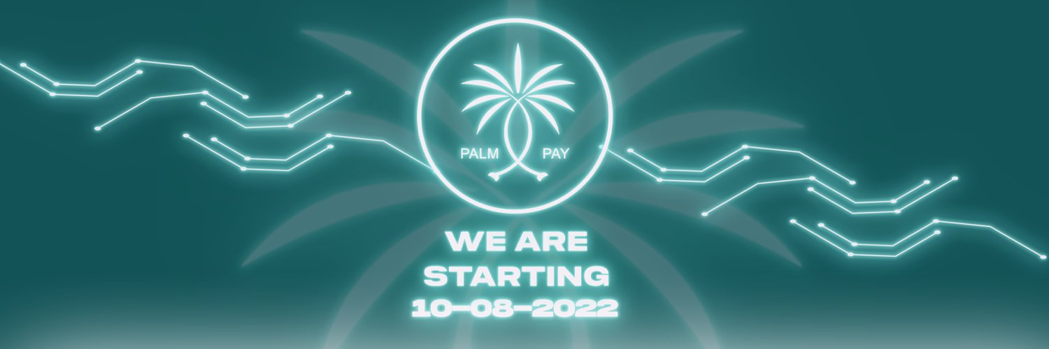 PalmPay banner