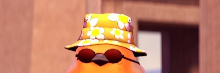 Duck_matt's banner