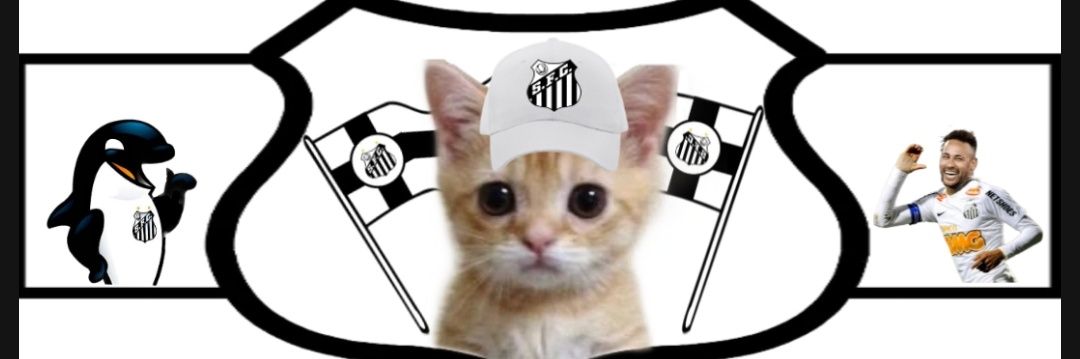 gatinho santista's banner