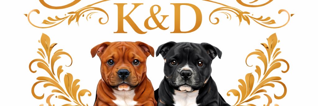 shewhodoesstuff's profile banner image