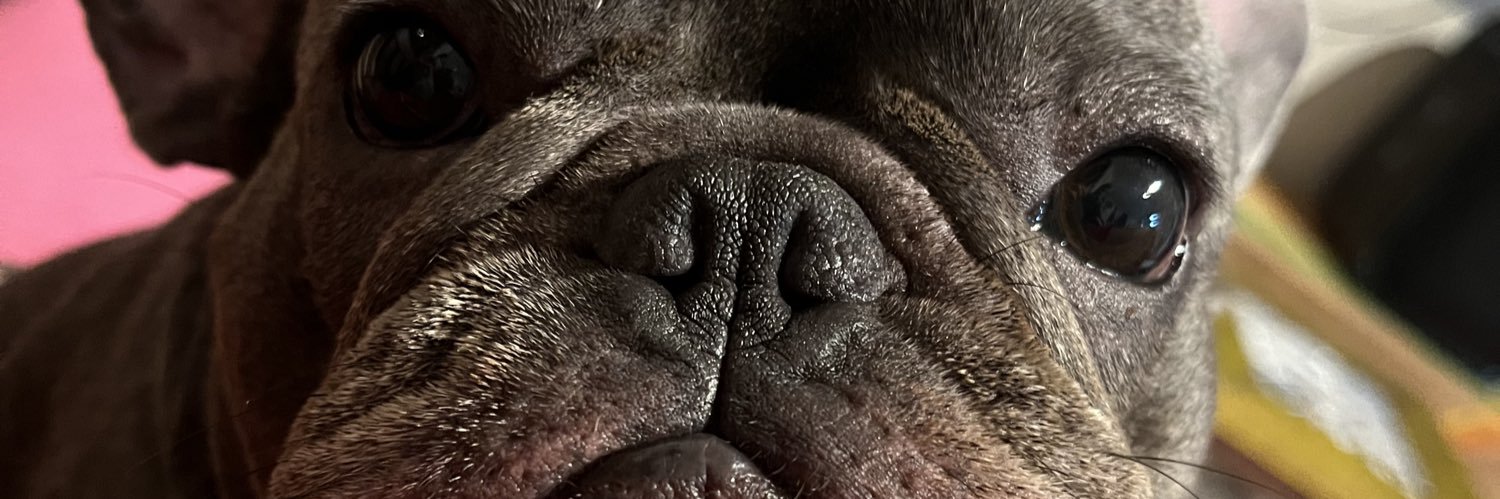 hevvito's profile banner image